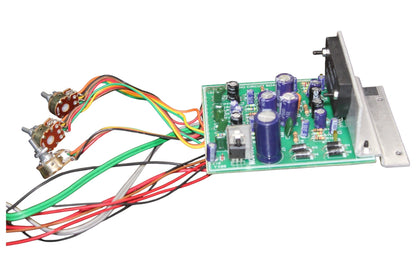 STK 24v 4392 Board with Duel CULT AUDIO
