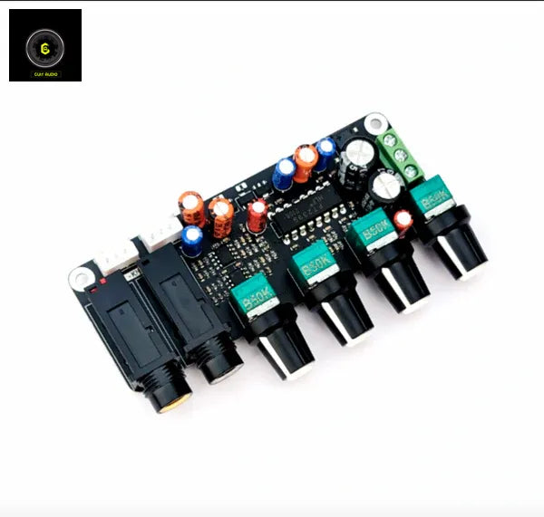 CA-Audios INK-2399 PT2399 Digital Microphone Board Karaoke Reverberation Board Karaoke_with_logo CULT AUDIO