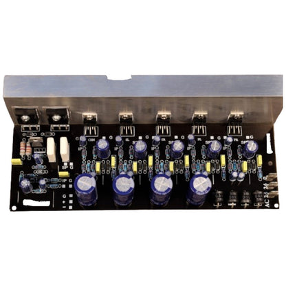 CA-2050 Two Transistor Mono 5.1 Amplifier Board with on board power supply CULT AUDIO