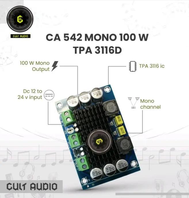 542 MONO 100W TPA 3116D - CULT AUDIO