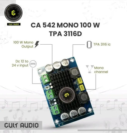542 MONO 100W TPA 3116D - CULT AUDIO