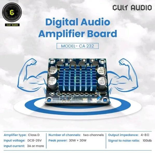 232 TPA 3110 S - CULT AUDIO