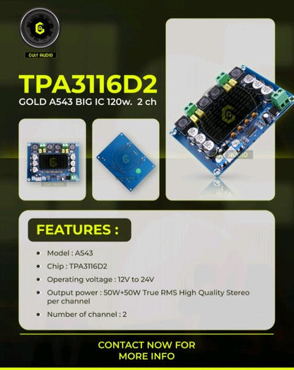 TPA 3116D2 GOLD A543 BIG IC 120W. 2 ch - CULT AUDIO