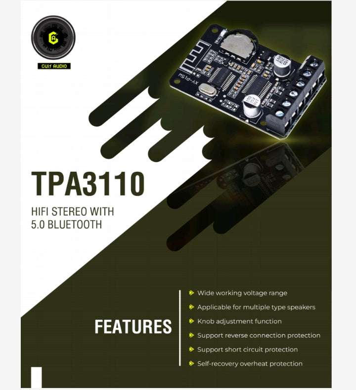 TPA3110 HIFI Stereo With 5.0 Bluetooth AMP Board 12V/24V High Power Digital AMP My Store