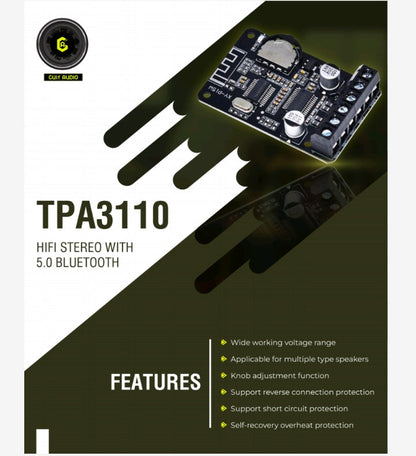 TPA3110 HIFI Stereo With 5.0 Bluetooth AMP Board 12V/24V High Power Digital AMP My Store