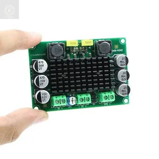 542 MONO 100W TPA 3116D - CULT AUDIO