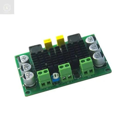 542 MONO 100W TPA 3116D - CULT AUDIO