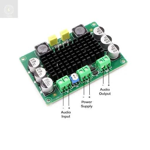 542 MONO 100W TPA 3116D - CULT AUDIO