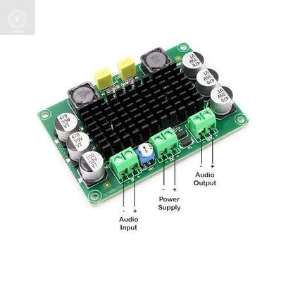 542 MONO 100W TPA 3116D - CULT AUDIO